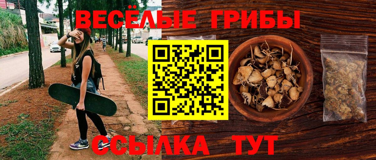 Сухой Лог  Галлюциногенные грибы Psilocybine cubensis  Псилоцибиновые грибы ЛСД  Вход с VPN 